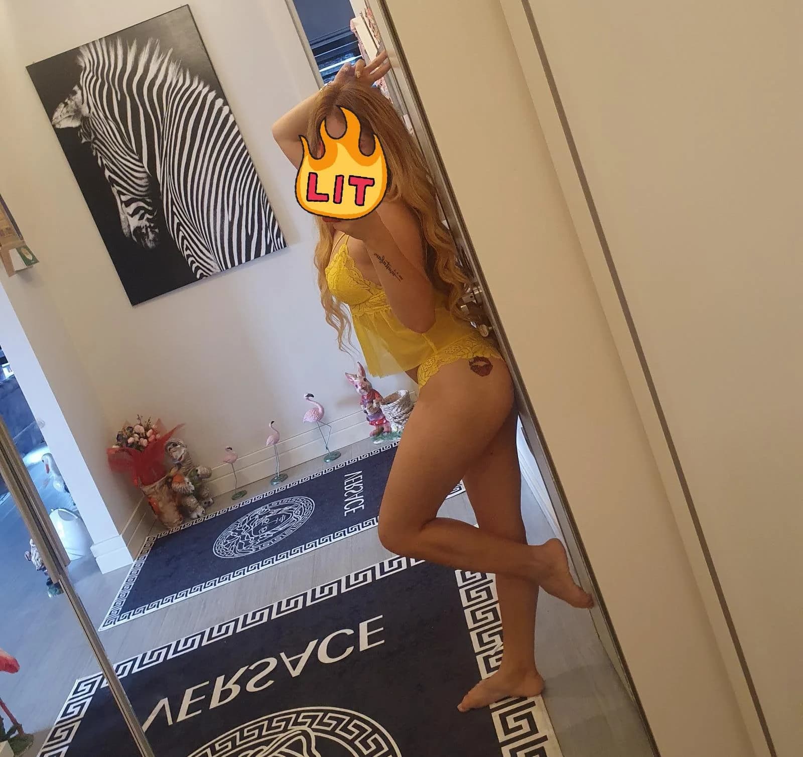 CANSU küçük görsel 2